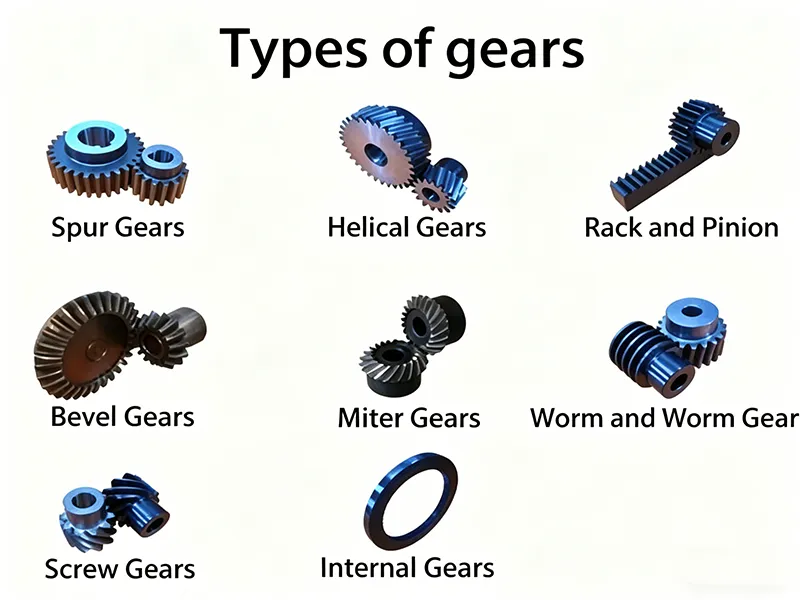 Types of gears chart showing spur helical bevel and worm gears