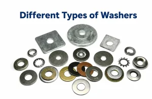 Different types of washers including flat washers, lock washers, square washers, and spring washers