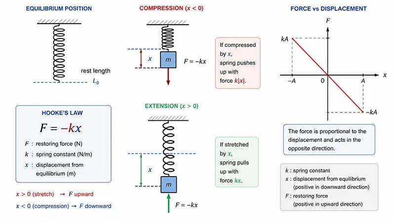 Hooke's law diagram showing spring compression, extension, force, and displacement relationship